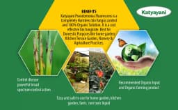 Katyayani Striker Pseudomonas Fluorescens Liquid Bio Fungicide, Effective Disease Control For Healthier Crops 4