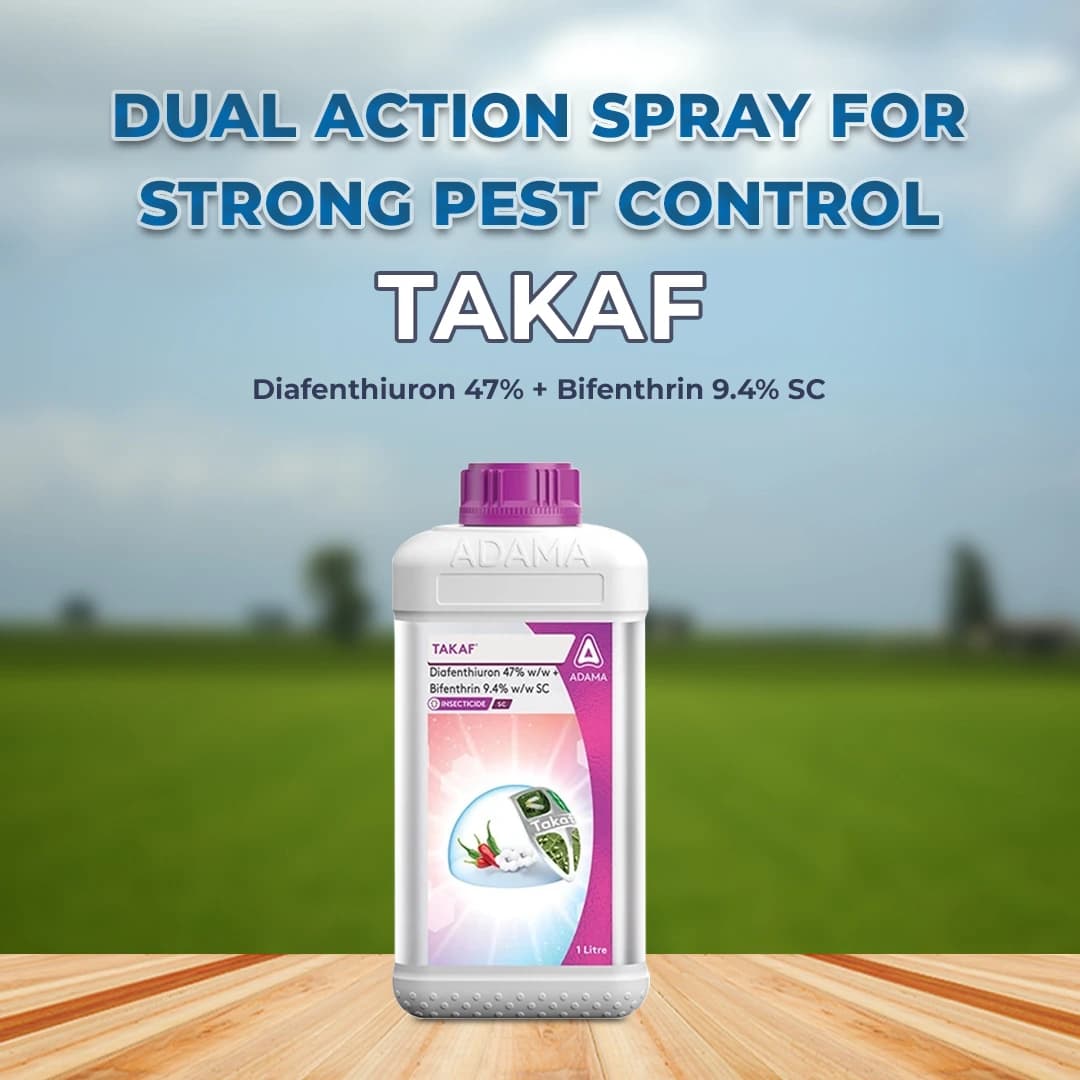 Adama Takaf Insecticide - Image 2