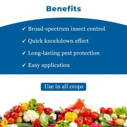 Adama Agadi SC Fipronil 5% SC Insecticides broad-spectrum insecticide, toxic by contact and ingestion. 4