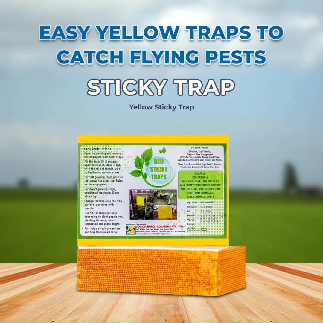 Sonkul Agro Industries Insect Killer Attractant Yellow Sticky Trap For Sucking Pest Like Aphids, Jassids, Thrips - Image 2
