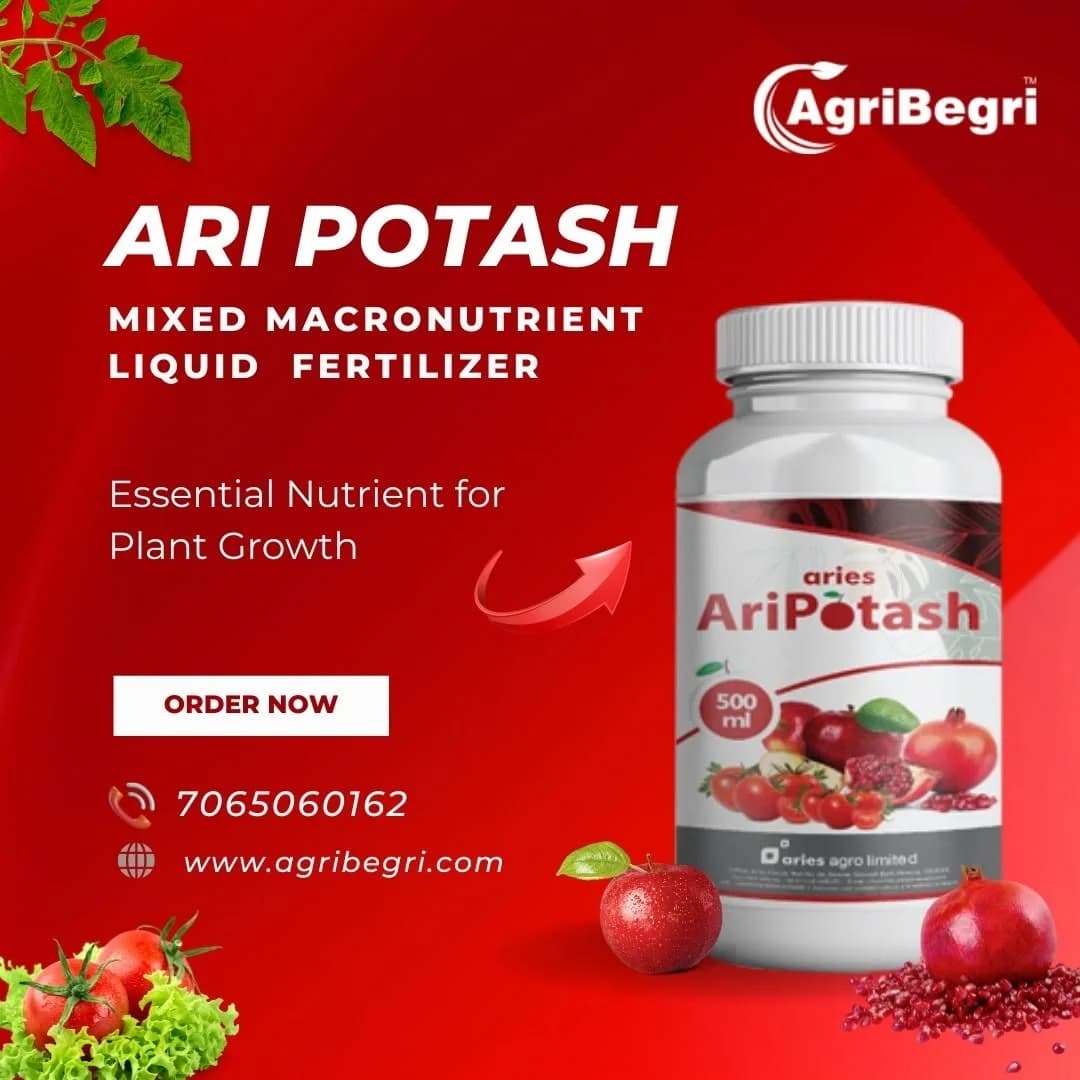 Aries Ari Potash Mixed Macronutrient Fertilizer, An Essential Nutrient for Plant Growth - Image 6