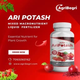 Aries Ari Potash Mixed Macronutrient Fertilizer, An Essential Nutrient for Plant Growth 6