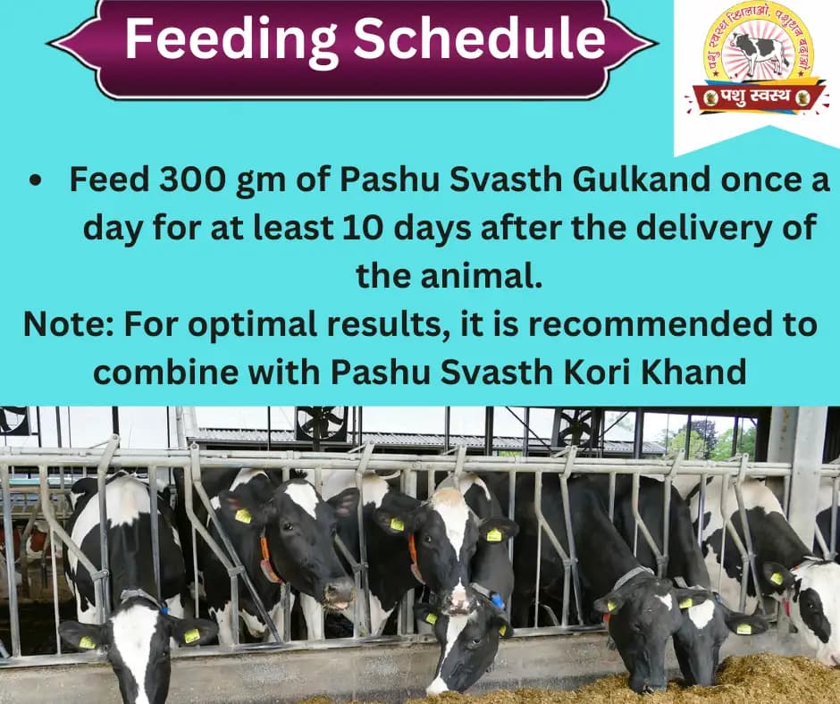 PASHU SVASTH GULKAND, Rose Infused Herbal Milk Booster, Stomach Cooler For Cattle And Animal Health Supplement - Image 3