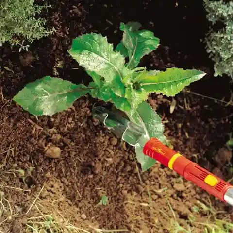 Wolf Garten Weed Extractor (IW-F), All Types Of Soil Remove Long Tap Root And Weeds - Image 1