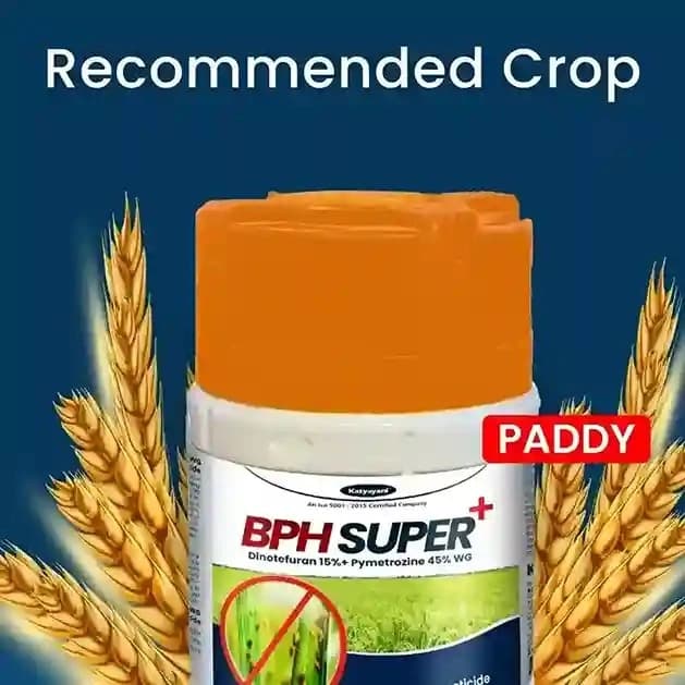 Katyayani BPH Super Plus Dinotefuran 15% + Pymetrozine 45% WG Insecticides, For Effective Rice Pest Protection - Image 3