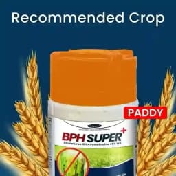 Katyayani BPH Super Plus Dinotefuran 15% + Pymetrozine 45% WG Insecticides, For Effective Rice Pest Protection 3