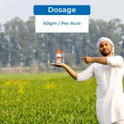 Bayer Momiji Pyroxasulfone 85% WG, Pre Emergence Herbicide, Excellent Crop Safety for Wheat. 5