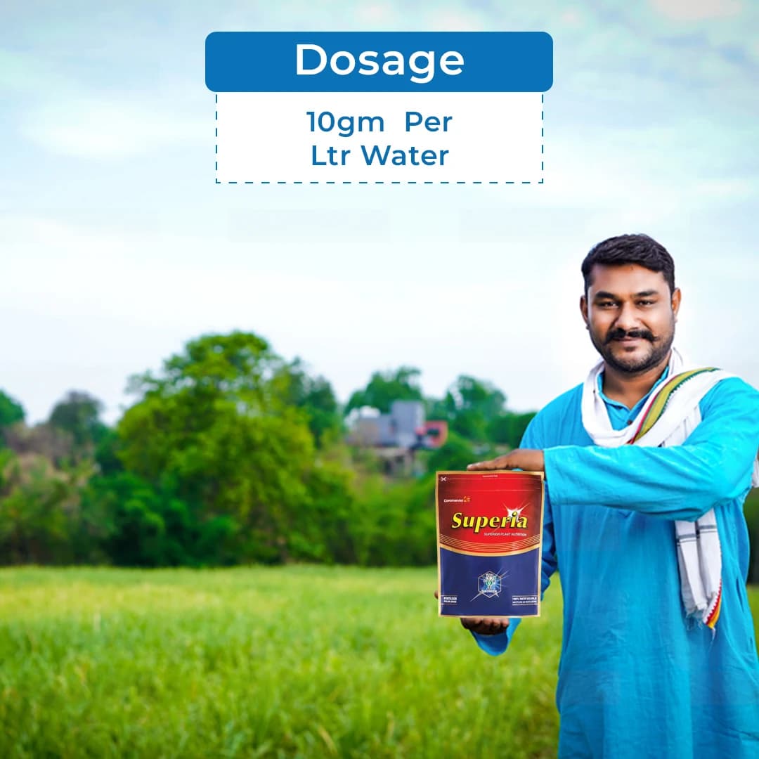 Coromandel Superia Micronutrients Fertilizer, Superior Plant Nutrition For Foliar Application - Image 5