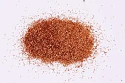 RK Seeds - Bottlebrush Trees Seeds, Callistemon Seeds, Ornamental Tree Seeds 3