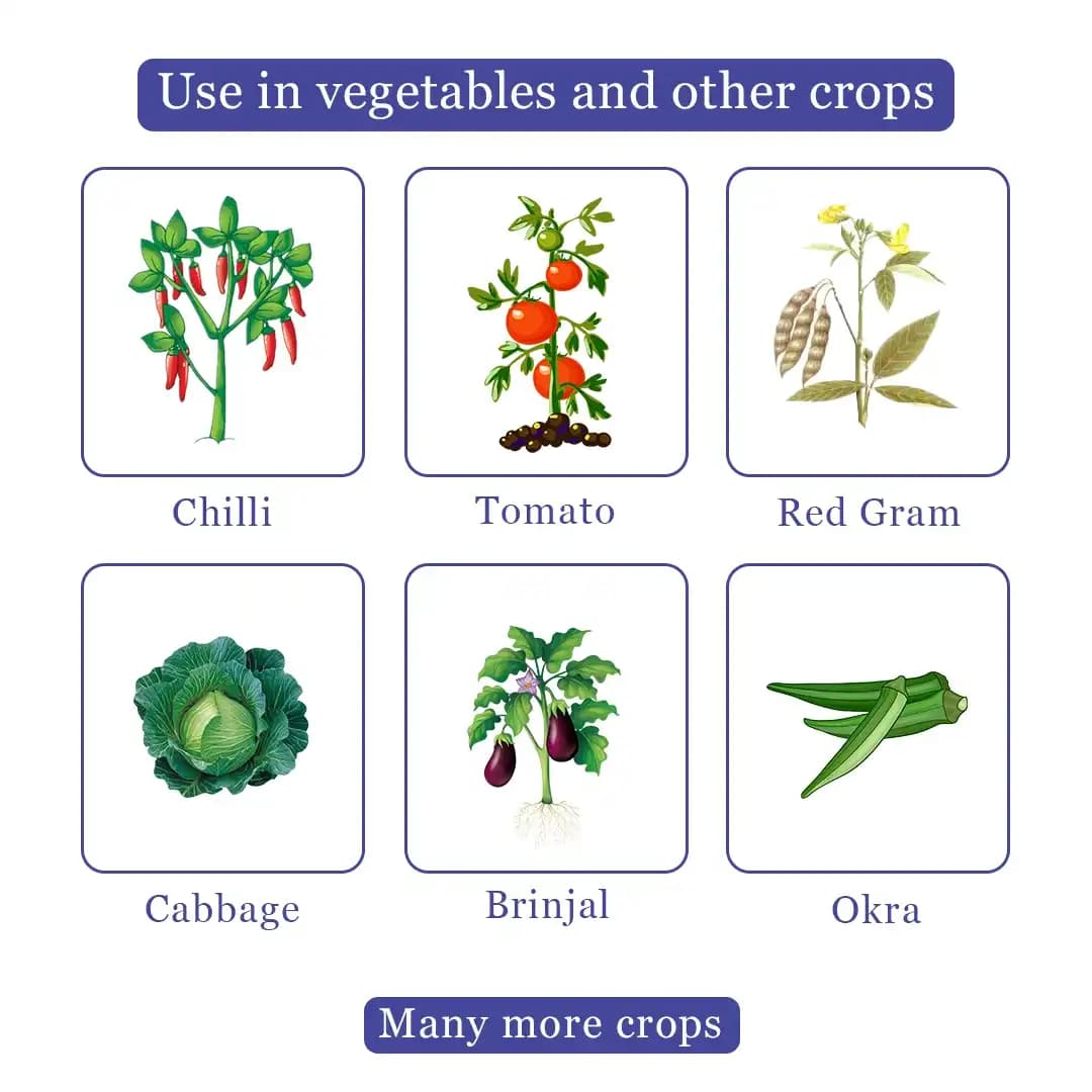 Godrej Gracia Insecticide - Image 4