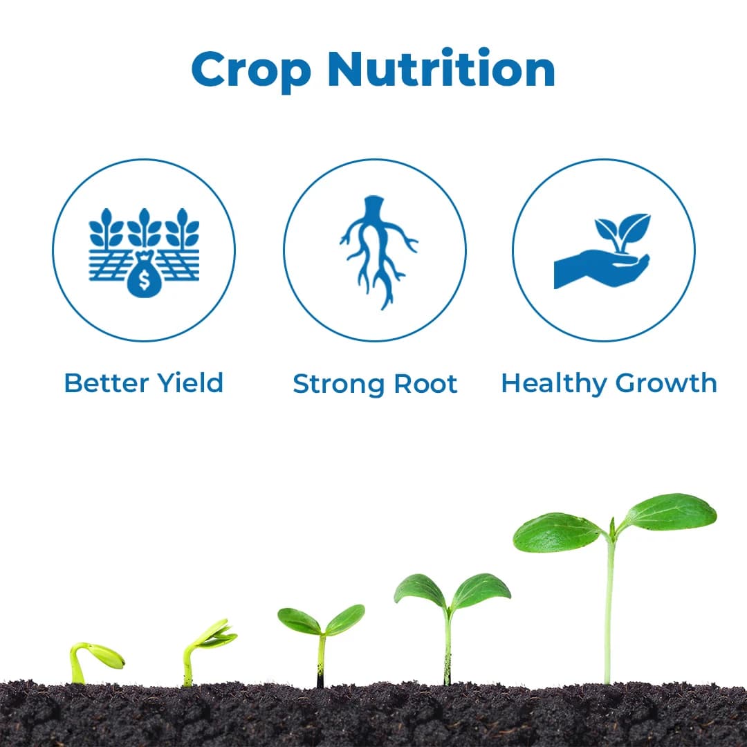 Borofix Boron Ethanolamine, Boron 10% Micro-Nutrient Fertilizer for all Crops, Improves Fruiting and Growth - Image 3
