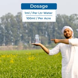 HM Virofin - Anti Virus & Bacteria 5