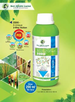 Best Agrolife Zodio Azoxystrobin 18.2% + Difenoconazole 11.4% SC Fungicide, Broad-Spectrum For Crop Protection 3
