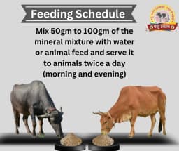 PASHU SVASTH MINERAL MIXTURE, Animal Health Supplement, Increase Livestock Health & Productivity, The Mixture Enhances Milk Production 4