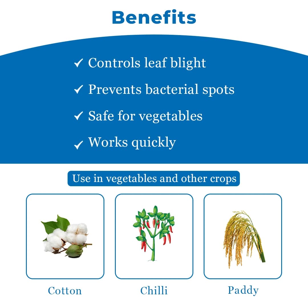 Multiplex Bactinash-200 Bactericide - Image 4