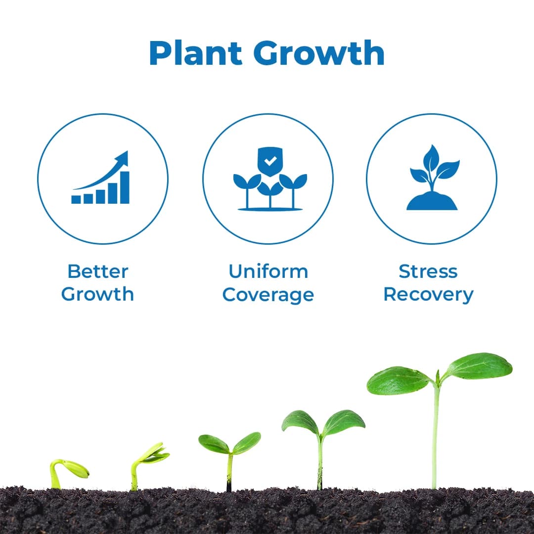 ईबीएस ग्रो बूस्टर (होमोब्रासिनोलाइड 0.04%) प्लांट ग्रोथ रेगुलेटर, फूलों की संख्या बढ़ाता है और तनाव और बीमारियों के खिलाफ प्रतिरोध प्रदान करता है - Image 3
