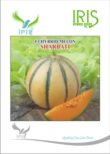 Iris Hybrid Fruit Seeds F1 Hybrid Musk Melon Sharbati, Flat Round Shape, Saffron Yellow Color