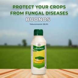 Bayer Buonos - Tebuconazole 38.9%, Systemic Fungicide, For Control Of Leaf Spot Disease And Powdery Mildew 2