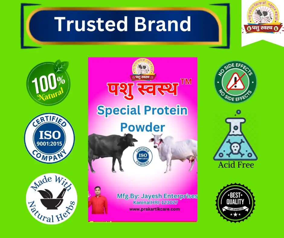 PASHU SVASTH SPECIAL PROTEIN POWDER, Efficient For Muscle Strength & Metabolism In Cattle - Image 6
