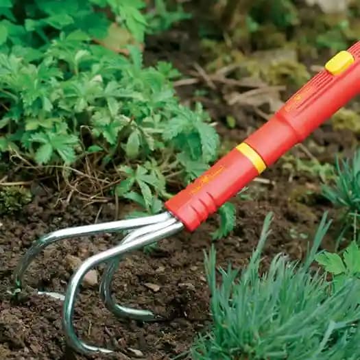 Wolf Garten Grubber (BA-M) 9 Cm, Multi Star Grubber Without Handle, Garden Tools - Image 3