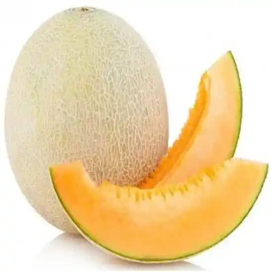 Jivit JS 111 F1 Hybrid Muskmelon Seeds, Popular Creamish Netted Color Variety. - Image 2