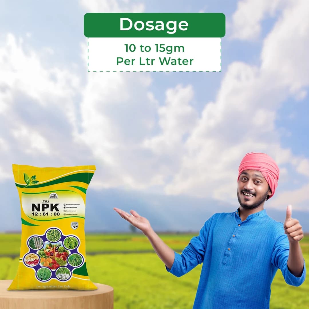 EBS NPK 12:61:00 (Mono Ammonium Phosphate) Water Soluble Fertilizer, Promotes Root And Faster Vegetative Growth - Image 5