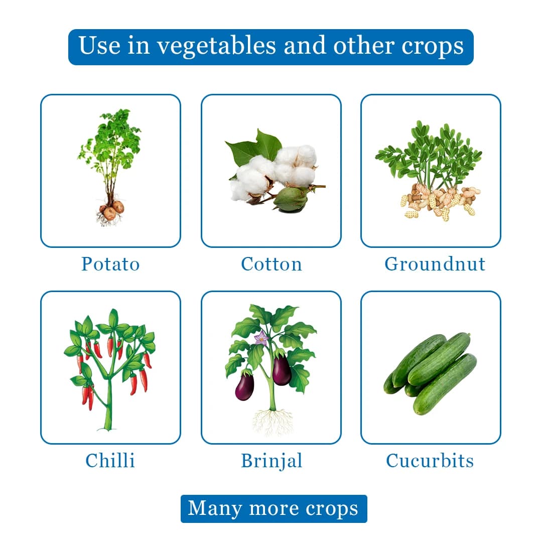 BACF EndTask Fipronil 40% + Imidacloprid 40% WG, Contact and Systemic Insecticides, Targets White grubs, and other sucking pests - Image 4