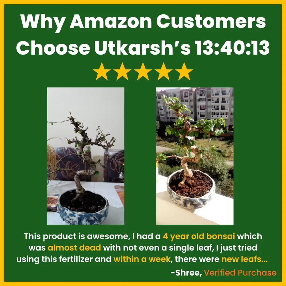 Utkarsh NPK 13:40:13 (Crystalline 100% Water Soluble Complex Fertilizer), Best for Drip Irrigation - Image 5