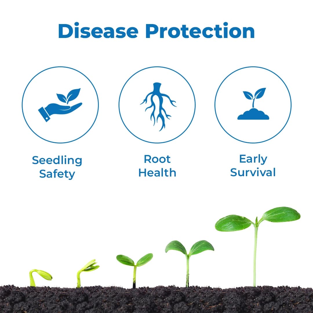 Exylon Matazeb Fungicide - Metalaxyl 8% + Mancozeb 64% WP - Image 4