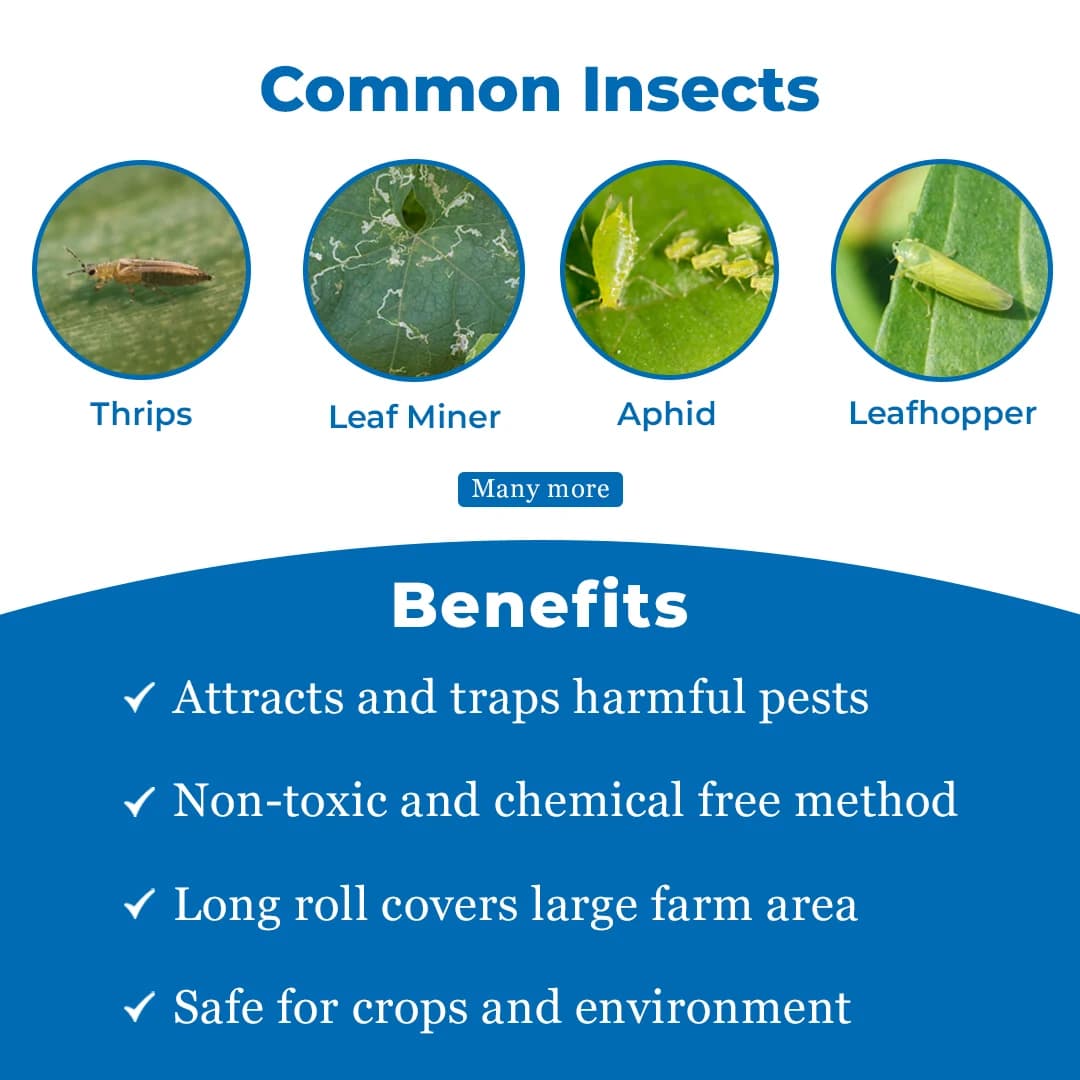 Green Revolution Yellow Sticky Roll Trap, Effective For Flying Insects Control - Image 3