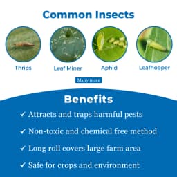 Green Revolution Yellow Sticky Roll Trap, Effective For Flying Insects Control 3