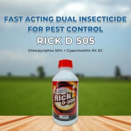 Darrick Rick D 505 Chlorpyriphos 50% + Cypermethin EC 5% Insecticide, Used to Control Chewing and Sucking Insect 2