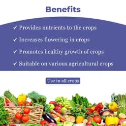 Spring Flower - Special Plant Bio-Stimulant for Enhancing Flowering and Promoting Rapid Growth 4