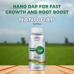 Coromandel GROMOR Nano DAP Fertilizer, These Nutrients Into Nano Polymers Capsules Or Nano Clay Material 2