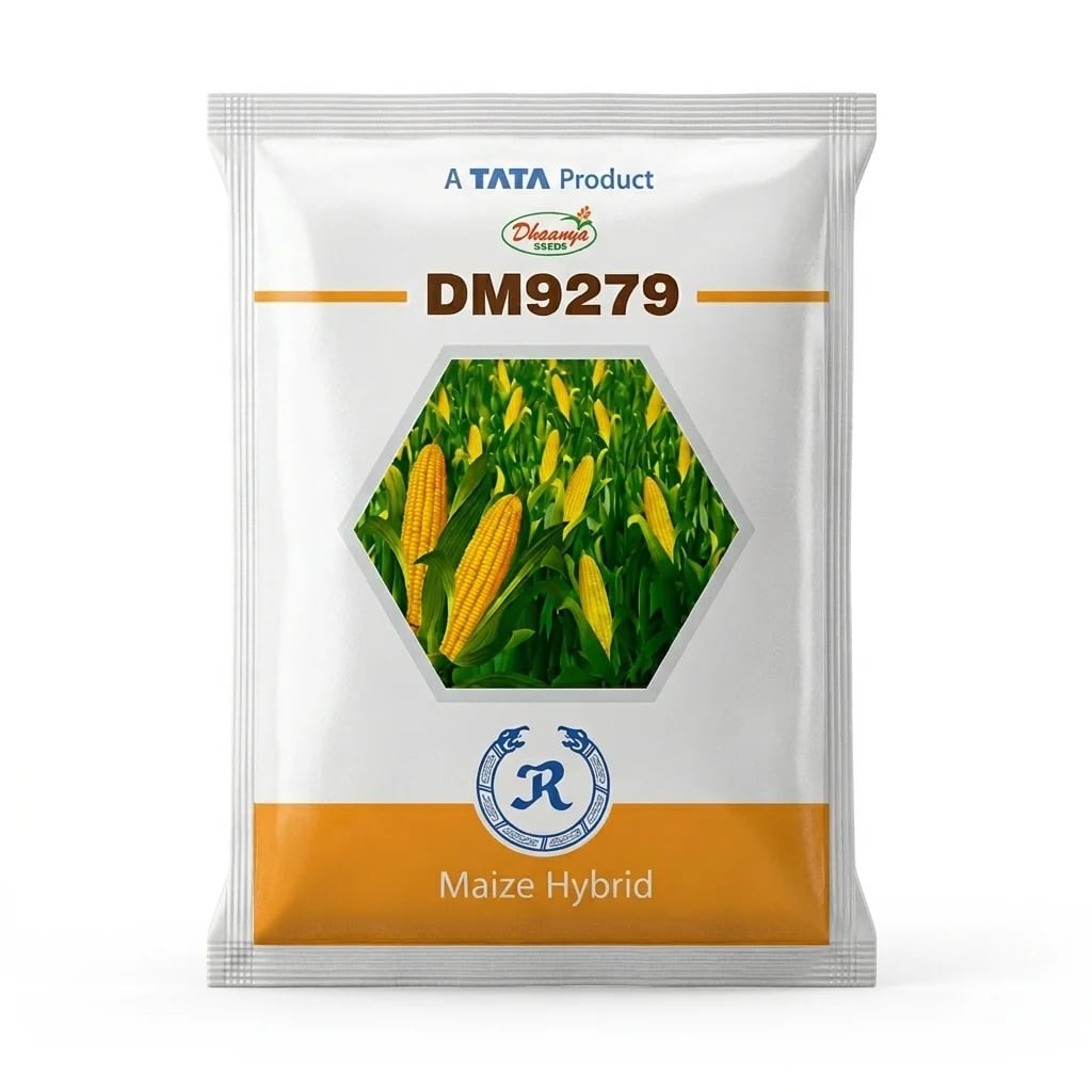 Tata DM 9279 Hybrid Maize Seeds