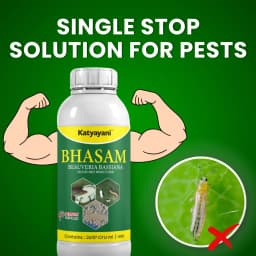 Katyayani Bhasam Beauveria Bassiana Bio Pesticide - Powerful Organic Insect Control for Managing Sucking Pests 2