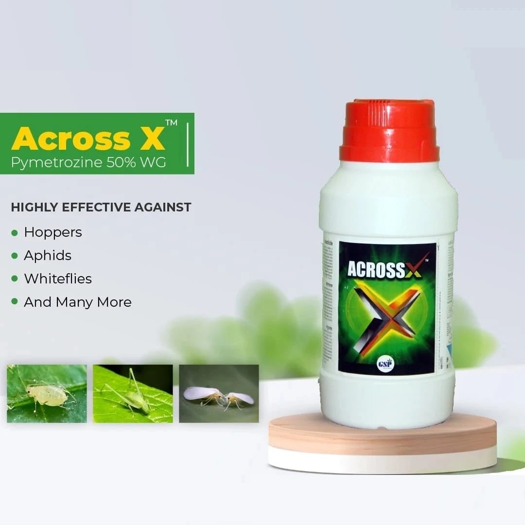GSP ಅಕ್ರಾಸ್ X ಪೈಮೆಟ್ರೋಜಿನ್ 50% ಕೀಟನಾಶಕ, ಭತ್ತದ ಪ್ಲಾಂಟ್ಹಾಪರ್, ಹೇನುಗಳು ಮತ್ತು ಬಿಳಿನೊಣಗಳ ಪರಿಣಾಮಕಾರಿ ನಿಯಂತ್ರಣ