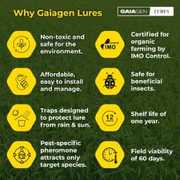 Gaiagen Yellow Rice Stem Borer (Scirpophaga Incertulas) Pheromones Lure And Funnel Insect Traps Combo, IMO Certified. 4