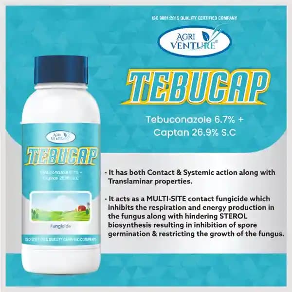 Agriventure TEBUCAP Tebuconazole 6.7% + Captan 26.9% SC Fungicide, Contact and Systemic, Impacts Multiple Stages of Fungal Growth. - Image 3