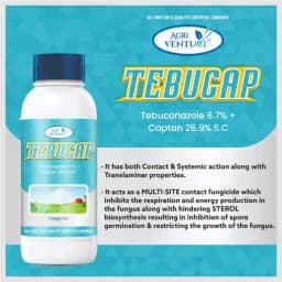 Agriventure TEBUCAP Tebuconazole 6.7% + Captan 26.9% SC Fungicide, Contact and Systemic, Impacts Multiple Stages of Fungal Growth. 3