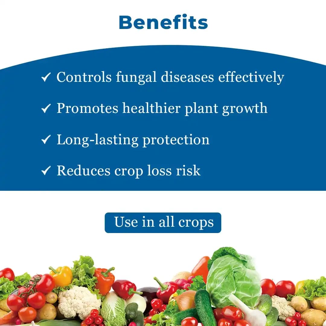 Biostadt ROKO Thiophanate Methyl 70% WP Fungicide, Broad Spectrum, Enhances Plant Growth And Yields - Image 3
