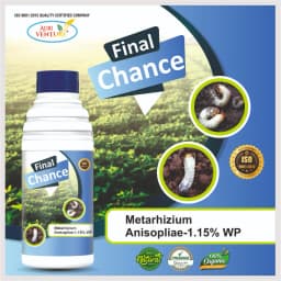 AgriVenture FINAL CHANCE (Metarhizium Anisopliae 1.15% WP) Bacterial Products, Best for White Grub 2