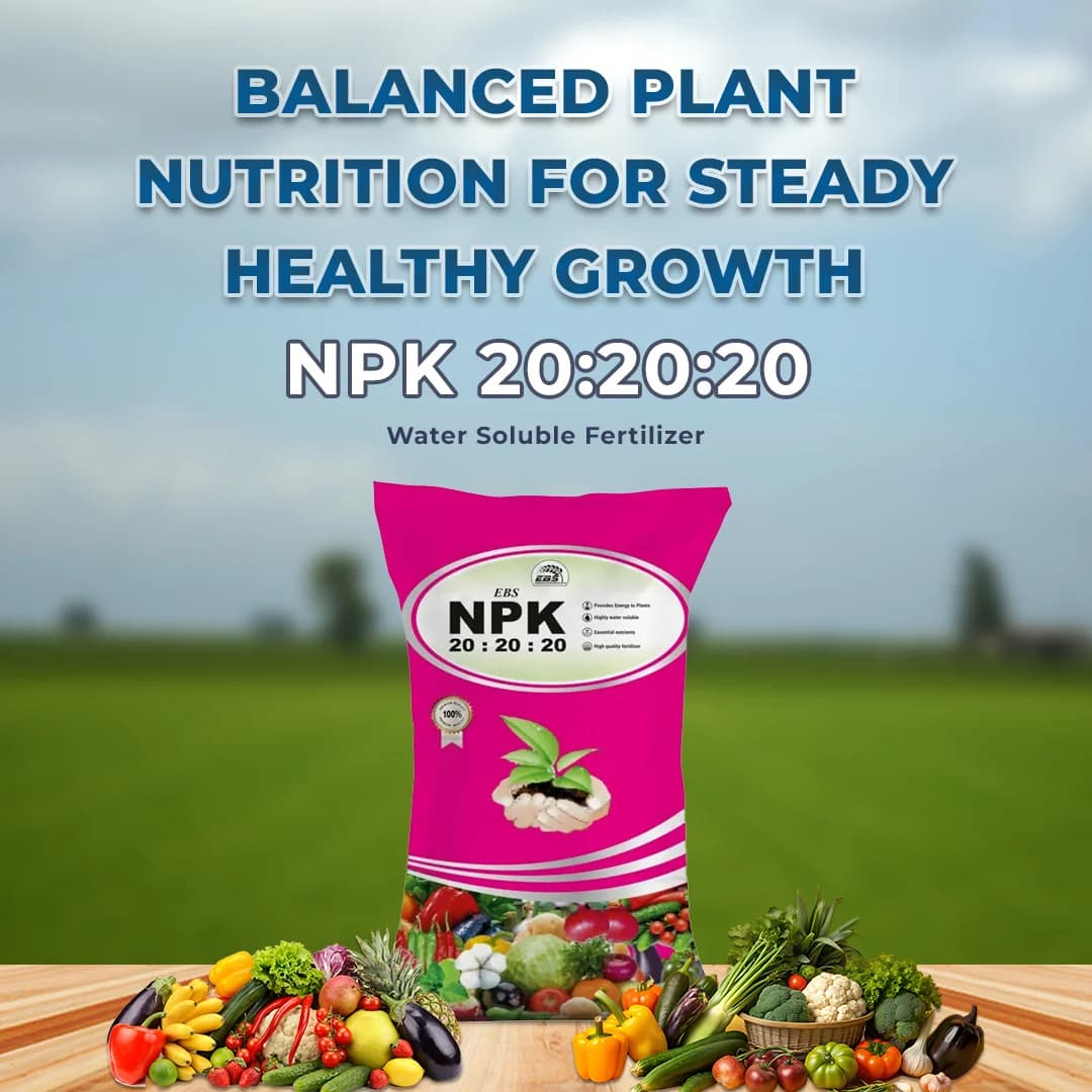 EBS NPK 20:20:20 Water Soluble Fertilizer, Improves Yield of Crops, Provides High Amount Of Essential Plant Nutrients - Image 2