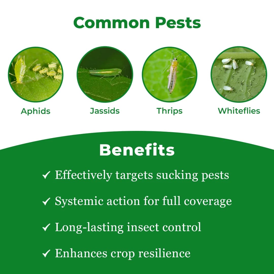 EBS Proton Acetamiprid 20% SP Systemic Insecticide, Best Used for Cotton, Vegetable, And Fruit Crops - Image 3