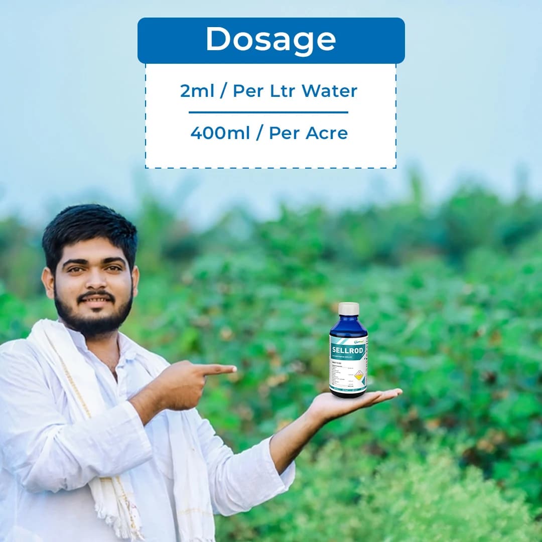 सेलरोड - क्लारोपाइरीफोस 50% ईसी, वायरवर्म, बीटल और माहूँ जैसे कीटों को नियंत्रित करें. - Image 5