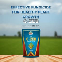 EBS C-ZEB Mancozeb 75% WP Fungicide, Control all Fungal Infections on Leaves Blast of Paddy, Use For Agricultural Plants and Home Garden 2