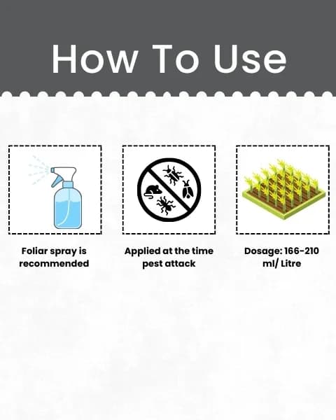 Katyayani K-Mite Hexythiazox 5.45% EC Insecticide, High Performance For Mite Control in Crops - Image 5