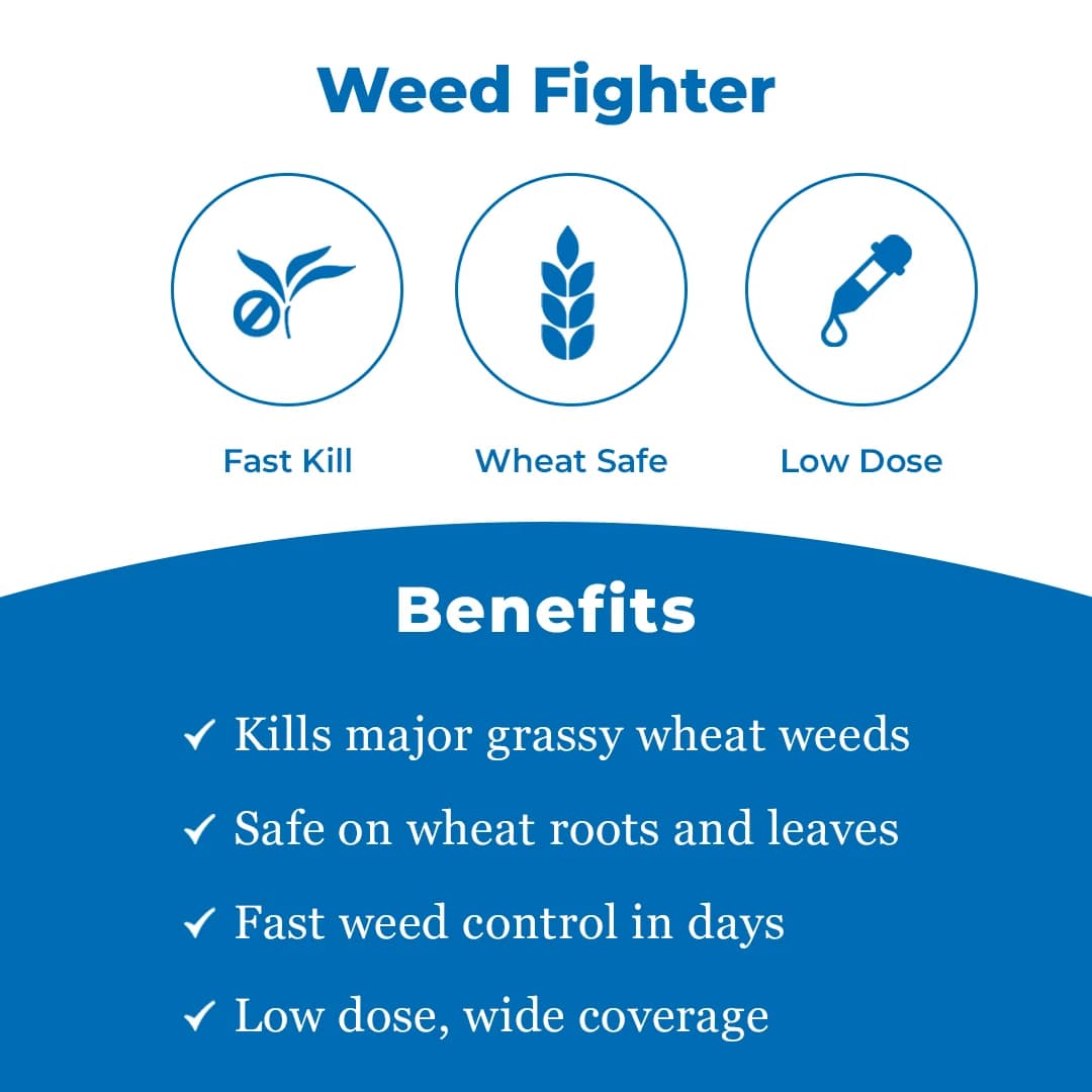 UPL Jhatka Clodinafop Propargyl 15% WP, Herbicide For Control In Most Of The Important Grass Weeds In Wheat - Image 3