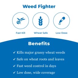 UPL Jhatka Clodinafop Propargyl 15% WP, Herbicide For Control In Most Of The Important Grass Weeds In Wheat 3