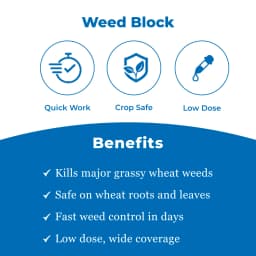 Parijat Rubah Clodinafop Propargyl 15% WP, Post Emergent Herbicide, Best For Wheat Crop. 3